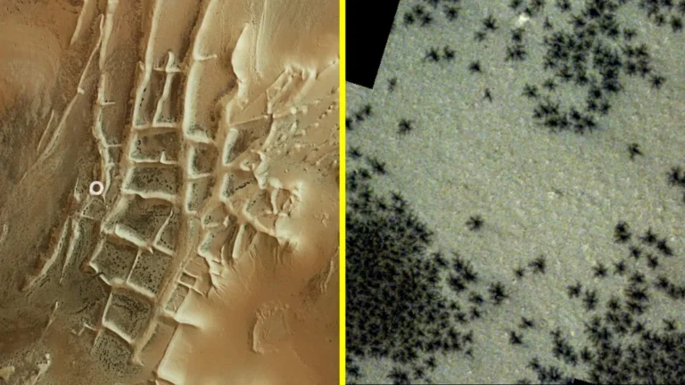 Many dark 'bugs' seen in strange 'Inca City' on Mars in new satellite photographs AIGLOBALNEWS.ORG
